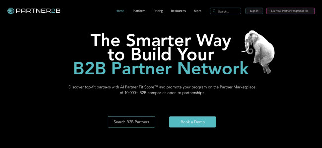 Maximizing Growth with B2B Services
